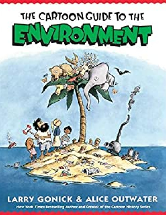 The Cartoon Guide to Environment