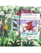 Enid Blyton Wishing Chair Adventures set of 6