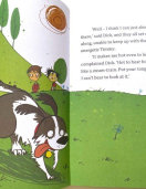 Enid Blyton Famous Five- Color Short Stories set of 9