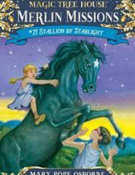 MERYLIN MISSIONS #21 Stallion By Starlight