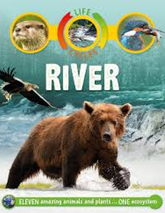 Life Cycles-River