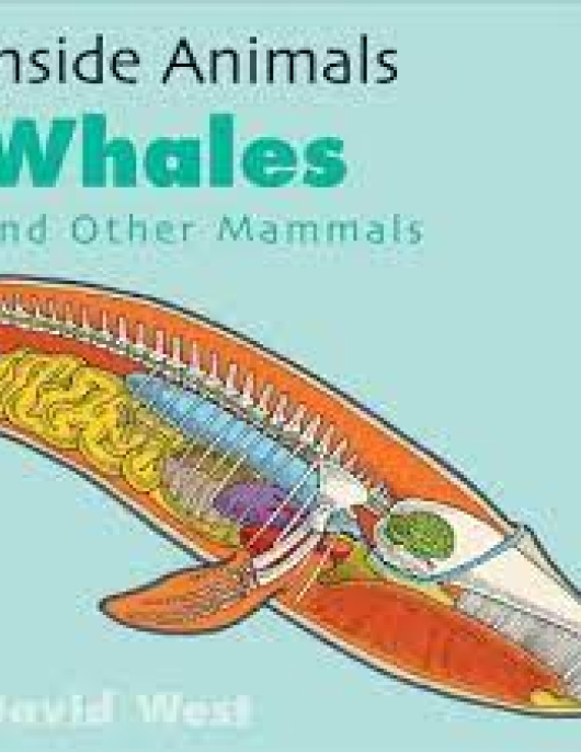 Whales and other Mammals