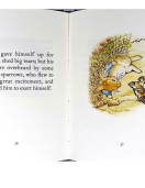 Tale of Peter Rabbit Box Set of 23