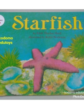 Let's Read and Find Out Science- Starfish