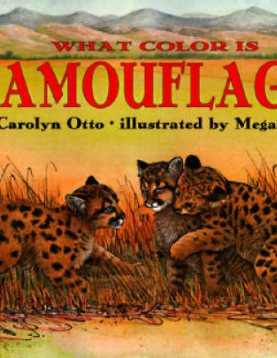 Let's Read and Find Out Science- Camouflage