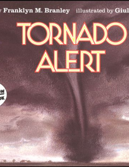 Let's Read and Find Out Science- Tornado Alert