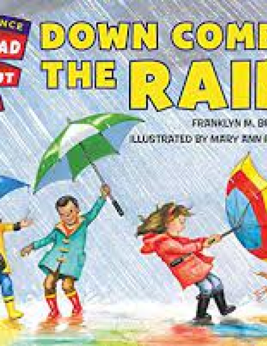 Let's Read and Find Out Science-Down Comes the Rain