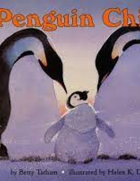 Let's Read and Find Out Science-Penguin Chick