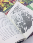 Enid Blyton Secret Seven set of 16