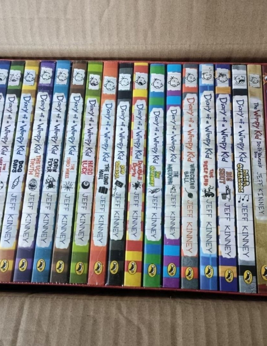 Diary of a wimpy kid set of 24 Books