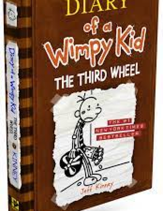 Diary of a Wimpy Kid The Third Wheel