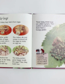 Usborne Beginners Nature Set of 10 Books Usborne Beginners Nature Set of 10 Books