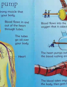 Usborne Beginners Science Box Set of 10