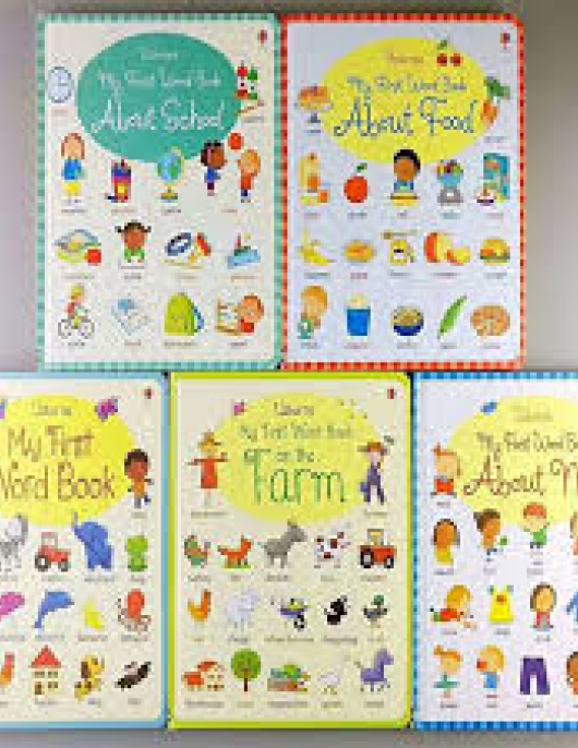 Usborne My First Word Book Set of 5 Books